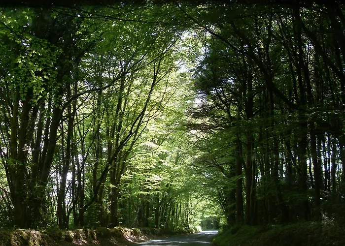 Old Court Homes 4 Bed No 12 By Trident Homes * Terryglass